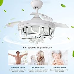 DLLT 40W Ceiling Fan with LED Lights, 42 Inch