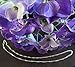 .925 Italian Sterling Silver Singapore Chain, 2.3 mm in Width