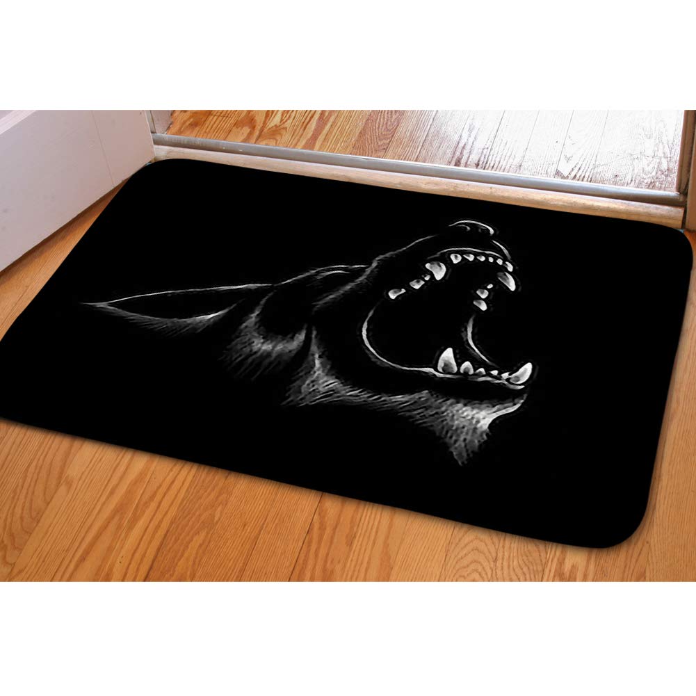 Amazon Com Ibathrugs Door Mat Indoor Area Rugs Living Room