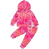 Amiblvowa Kids Toddler Baby Girl Boy Dinosaur Outfit Hoodie Sweatshirt Top and Pants 2Pcs Clothes Set Sweatsuits Tracksuit