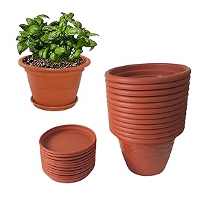 Meded Siti Plast 10 Inch Heavy Duty Plastic Planter Pots With Bottom Tray (Pack Of 12) Color - Terracotta