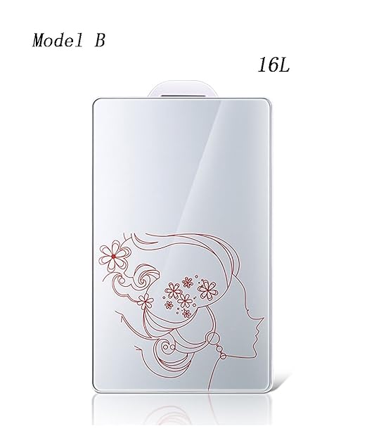 LIANJUN Portátil Nevera Rígida Refrigerador Eléctrico 16L ...