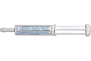 Jump Start Plus