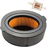 Amazon.com : MTD Genuine Parts 208cc Replacement Air Filter : Lawn