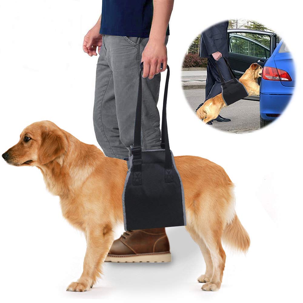 Roadwi Dog Lift Support & Rehabilitation Harness, Oxford and Nylon Pad with Reflective Stitching, Ideal Assist Sling for Dogs Recovering, Recommended for 25-55lbs Dogs (Medium/Black)