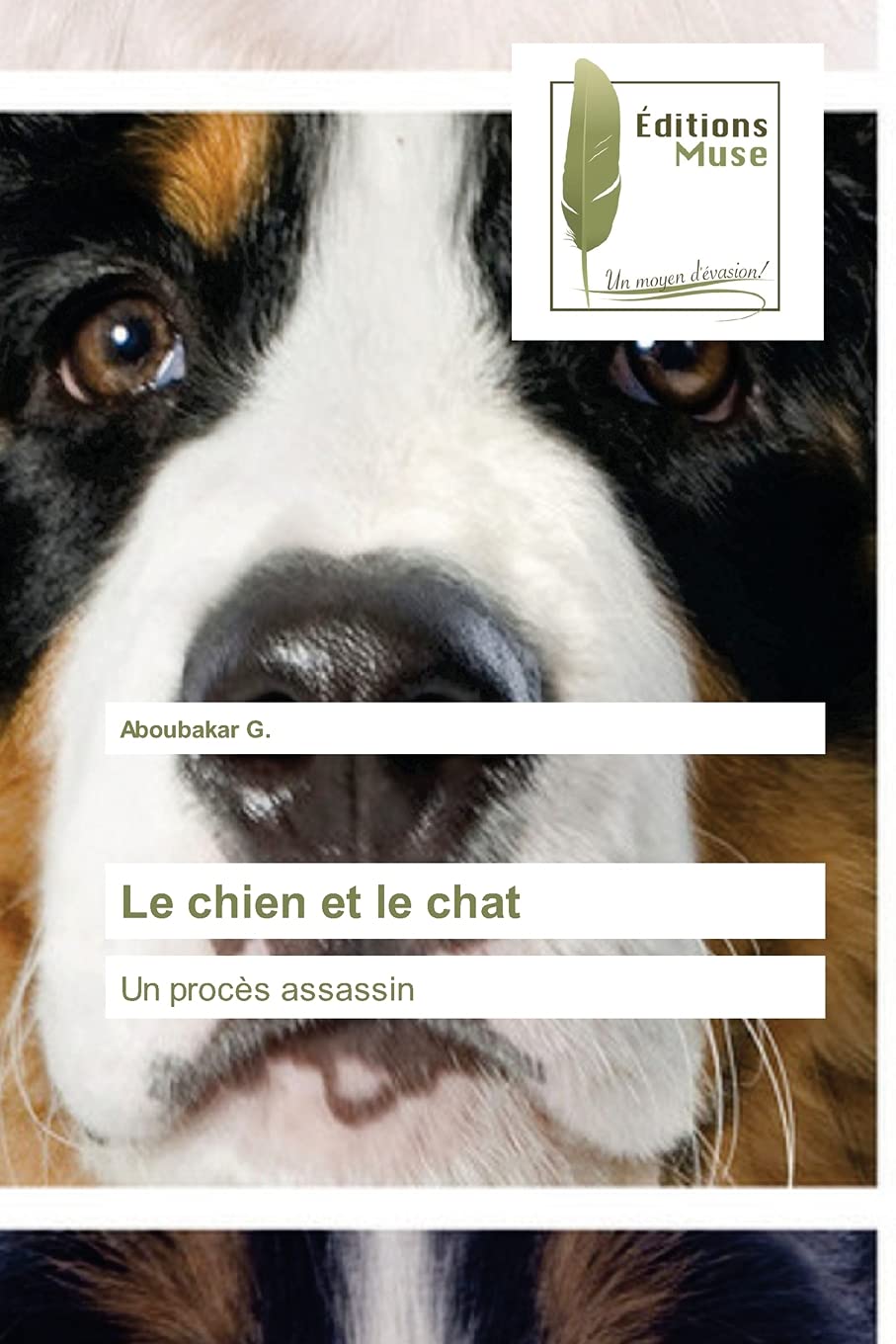 Le Chien Et Le Chat French Edition G Aboubakar Amazon Com Books