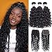 Alibeauty Water Wave Bundles with Closure 100% Brazilian Curly Human Hair 3 Bundles with Lace Closure Soft Deep Water Wave Wet and Wavy Hair Natural Black (16 18 20+14)