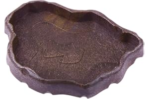 ibasenice Reptile Food Bowl Small Pet Water Dish for Tortoises Lizards Frogs Compact Resin Feeding Basin 4.72X3.34X0.78In Sui