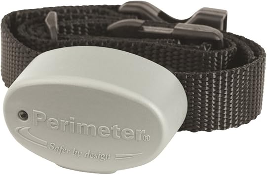 R21 Compatible Dog Collar 