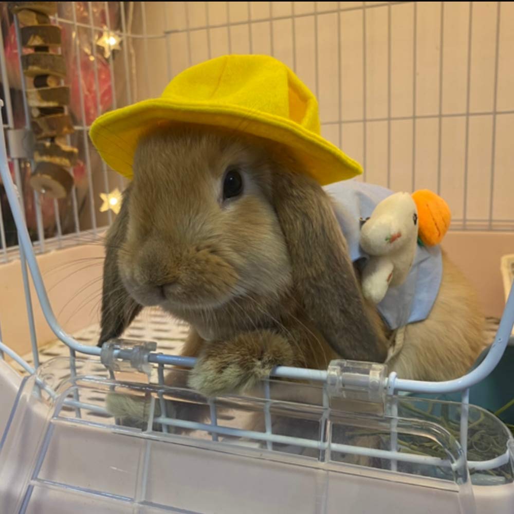View 3