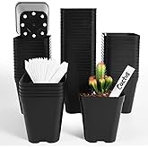 June Fox Plastic Seedling Pots, 60 Pack Square Nursery Pots 4 Inch, Small Plant Pots with Drainage Holes for Seedlings, Succulents, Cuttings (Black)