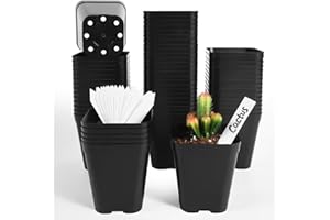 June Fox Plastic Seedling Pots, 60 Pack Square Nursery Pots 4 Inch, Small Plant Pots with Drainage Holes for Seedlings, Succulents, Cuttings (Black)