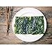 Roasted Seaweed Snack Strips, Lightly Salted and Seasoned [100% All Natural] Gluten Free! No MSG Vegan Friendly (Pack of 24) - Original Flavor