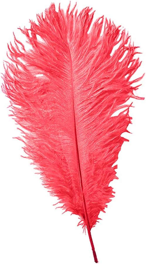 Trimming Shop 14-16inch(35-40cm) Red Ostrich Feathers Plume for Wedding Table Centrepieces Home Decoration Decorating Costumes Headdresses Showgirl Spadones - Image 4
