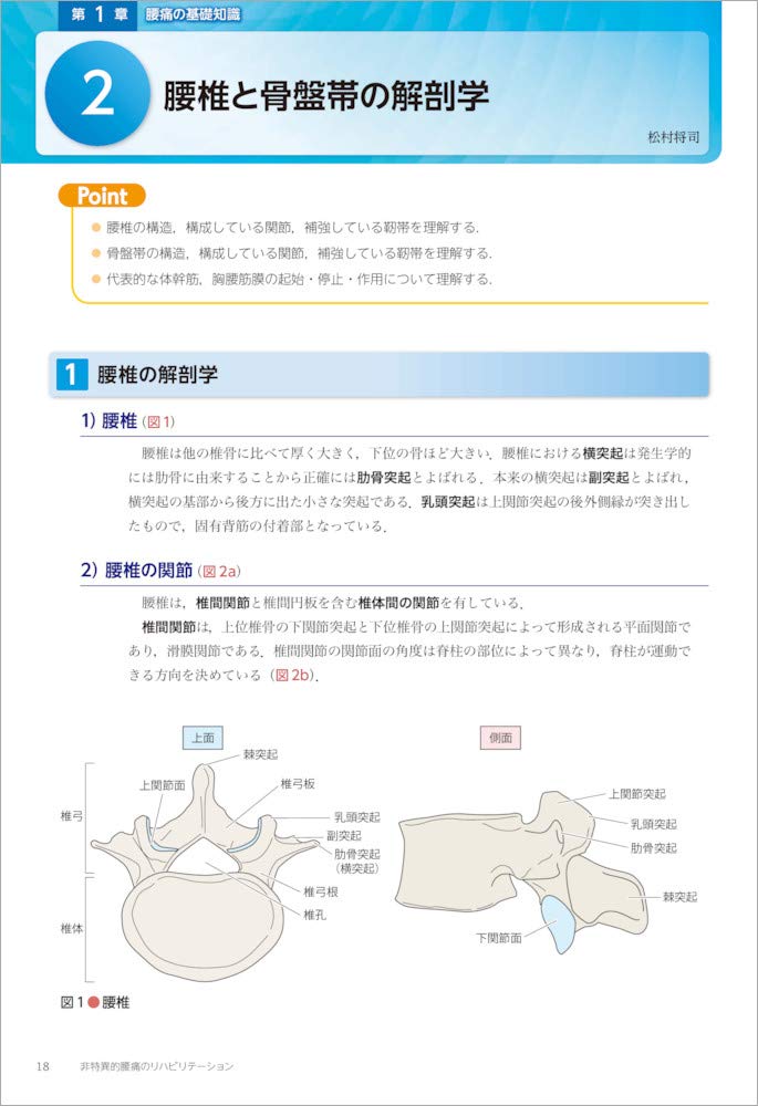 非特異的腰痛のリハビリテーション 痛みの理学療法シリーズ Amazon Com Books