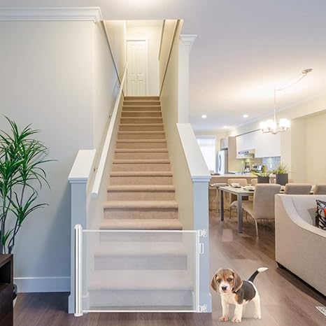 safety door for stairs