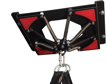 Amazon.com: firstlaw Fitness Spider Mount 140 – Heavy ...