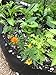 Smart Pots 12503 Liner, 13.5'