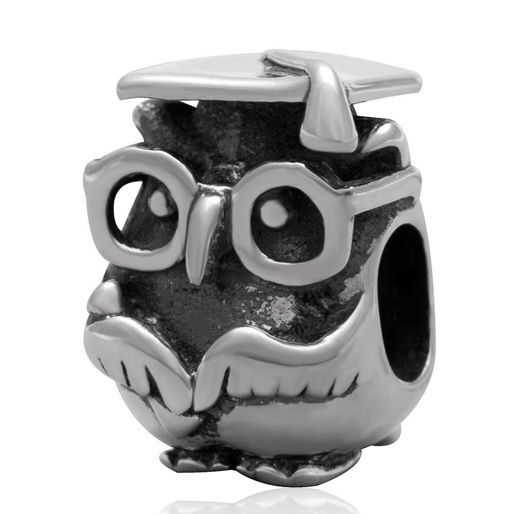 Doctor Owl Charm 925 Sterling Silver Lucky Animal Charm Bird Charm Pet Charm for Pandora Charm Bracelet (A)