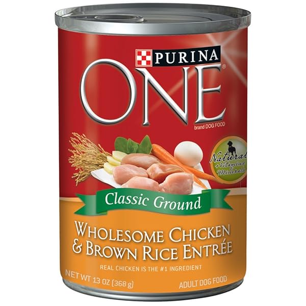 ONE CHICKEN AND BROWN RICE ADULT, 13 OZ
