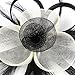 Merya Dress 2 Tone Kentucky Derby Fascinators Church Tea Party Bridal Hat Mesh Cocktail Headwear Feather Hats Black-White