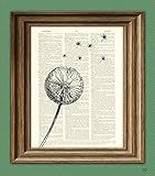 Dandelion flower parachute seed in the wind botanical illustration beautifully upcycled dictionary page book art print