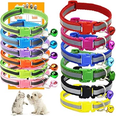 puppy identity collars