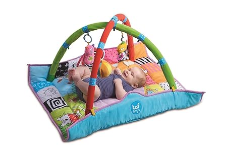 taf toys newborn gym
