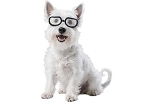 Namsan Clear Dog Goggles Small Breed, Anti-UV Sunglasses for Dogs Small Breeds, Windproof Riding Dog Eye Protection, Doggie Glasses with Elastic Straps, Easy Put-on/Adjustable, Transparent