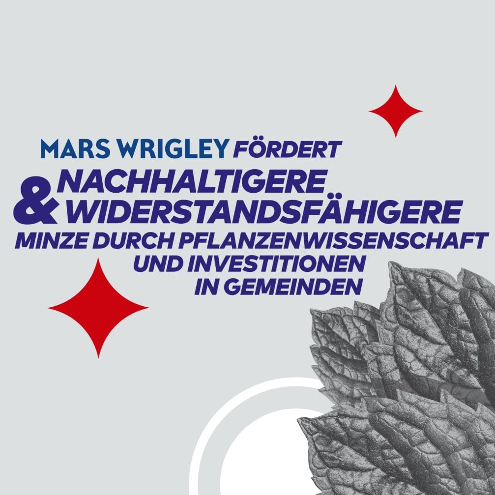 Extra Professional Kaugummi Zuckerfrei, White Citrus, 50 Dragees, Großpackung Chewing Gum, Xylitol Kaugummi ohne Zucke mit Zitronengeschmack Minz Frische (50 Dragees) 5