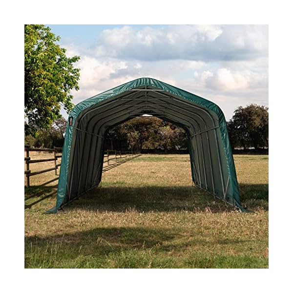 TOOLPORT Box Cavalli 3,3x6 m, Robusto Telo Verde in PVC ca. 550g/m², Protezione per Cavalli, Pecore, Riparo per Animali Marca: TOOLPORT TOOLPORT Box Cavalli 3,3x6 m, Robusto Telo Verde in PVC ca. 550g/m², Protezione per Cavalli, Pecore, Riparo per Animali