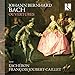 Johann Bernhard Bach: Ouvertures