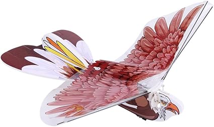 rc eagle