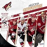 Arizona Coyotes 2018 Calendar by 