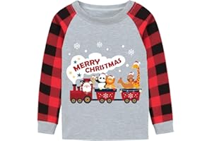 DDSOL Toddler Boy Girl Ugly Christmas Digger Dinosaur T-Shirt Red Plaid Raglan Long Sleeve Kids Xmas Tractor Clothes Tops 2-7T
