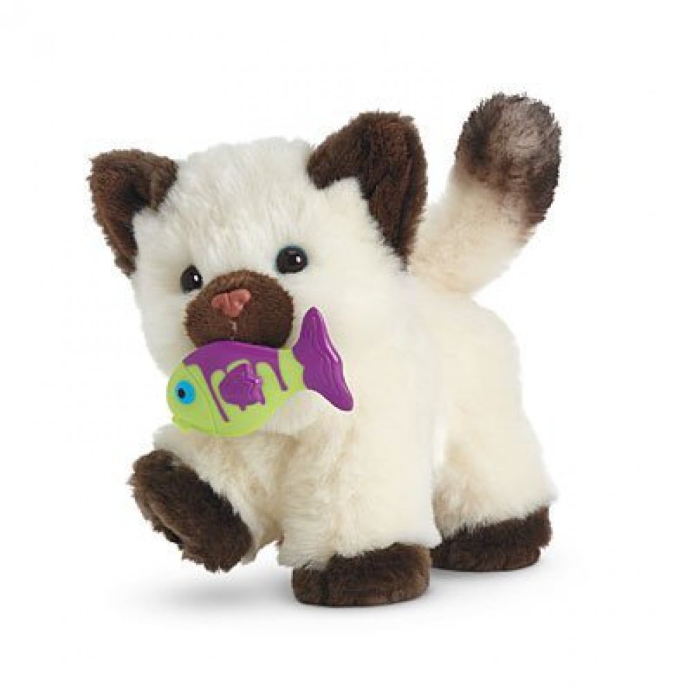 american girl kitten