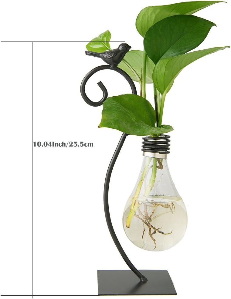 Marbrasse Desktop Glass Planter Hydroponics Vase,Planter Bulb Vase with Holder for Home Decoration,Modern Creative Bird Plant Terrarium Stand, Scindapsus Container (Bulb Vase): Kitchen & Dining