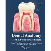 Dental Anatomy Teeth &amp; Beyond Made Simple: Dental Practice for Dentists and Dental Students Great For Review Before Test