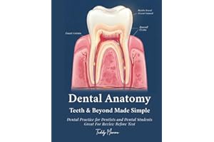 Dental Anatomy Teeth & Beyond Made Simple: Dental Practice for Dentists and Dental Students Great For Review Before Test