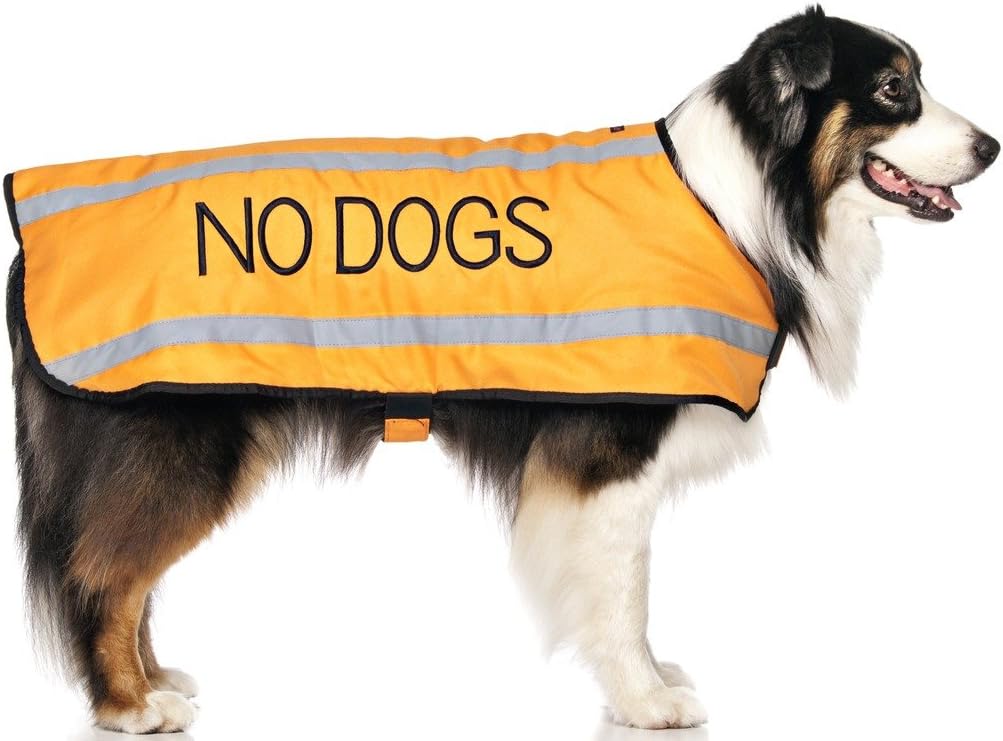 Dexil NO DOGS (Not good with other dogs) Orange Colour Coded S M L Reflective Waterproof Fleece Lined Warm Dog Coats PREVENTS Accidents By Warning Others Of Your Dog In Advance (M-L)