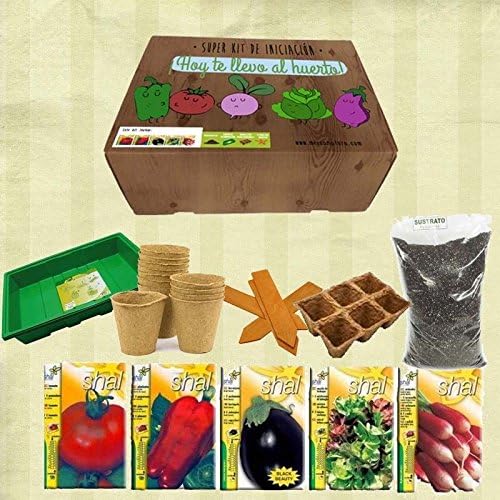 Kit iniciación al huerto: Amazon.es: Jardín
