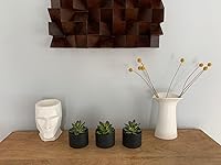 Review Image by MARILYN HEIST