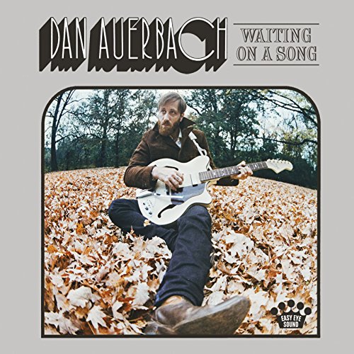 Dan Auerbach - Never in my wildest dreams Lyrics - Zortam Music