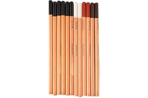 Semme 12pcs Unbreakable Wood Cased Carbon Drawing Pencils for Art Students for Sketching Writing Professional Use
