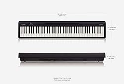 Roland FP-10 | Compact 88-Note Digital Piano