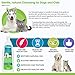 Particular Paws Oatmeal Shampoo for Dogs and Cats with Shea Butter, Aloe Vera, Chamomile - 17 Fl.OZ