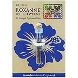 Colonial Needle Creative Hands 58912 62E Jingle