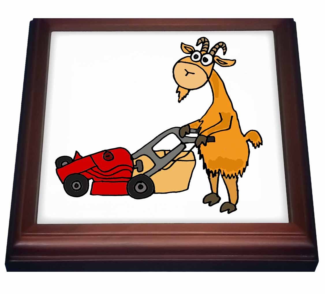 Best billy goat lawn mower
