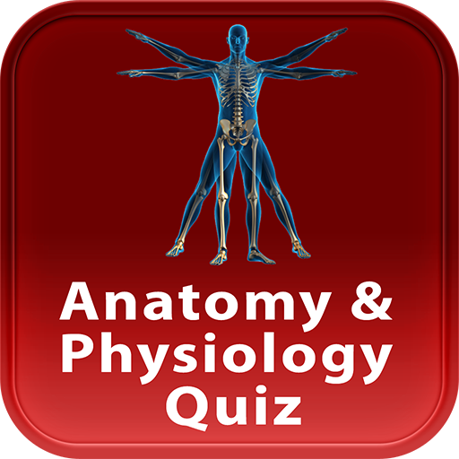 Amazon Com Anatomy Physiology Quiz Appstore For Android