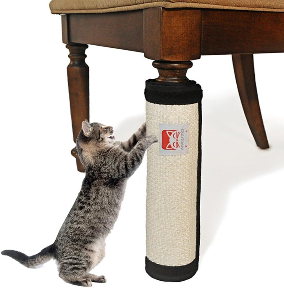 猫 の 爪 に 強い 壁紙